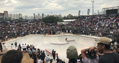 Ribeirão Pires registra ave ameaçada no Parque Oriental