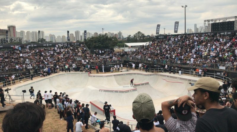 Ribeirão Pires registra ave ameaçada no Parque Oriental
